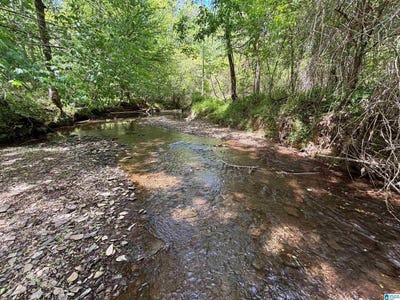 /international/us/498-blackwood-road-lot-14-9-acres-parrish-al-110107482474/