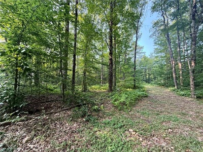 /international/us/11470-river-road-florence-ny-110101399080/?lang=en