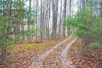 /international/us/390-joyful-way-jumping-branch-wv-110103421183/