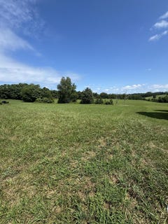 /international/us/1626-boardwalk-circle-morristown-tn-110101529806/?lang=pt