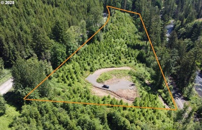 /international/us/7002-kalama-river-rd-kalama-wa-110100203673/