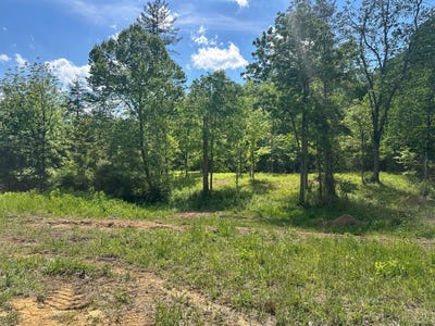/international/us/0-huntersville-rd-ethan-dr-albany-ky-110107810508/