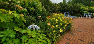 /international/us/44-huckleberry-lane-east-hampton-ny-110100673539/