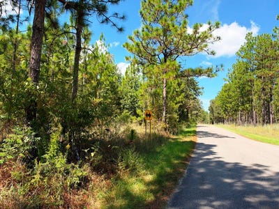 /international/us/0a-crown-zellerback-road-lumberton-ms-110120112747/