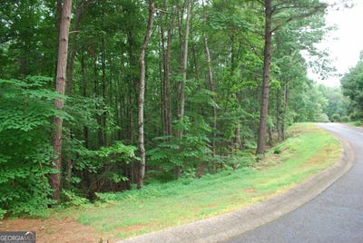 /international/us/742-plum-clarkesville-ga-110100763668/