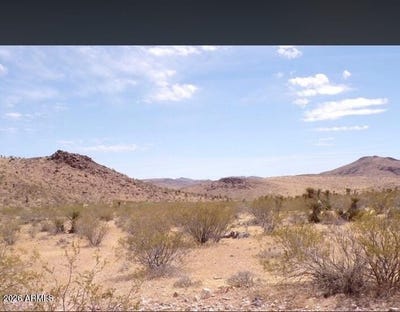 /international/us/unassigned-dolan-springs-az-110120628371/