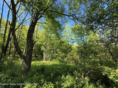 /international/us/383-ferndale-loomis-road-liberty-ny-110099853369/?lang=zh-tw