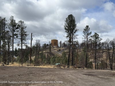 /international/us/205-207-angeles-drive-ruidoso-nm-110098043314/?lang=zh-tw
