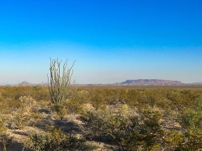 /international/us/25-3-s-hwy-118-alpine-tx-110108476159/