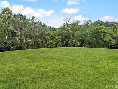 /international/us/lot-16-cobblestone-drive-washington-mo-110108395283/