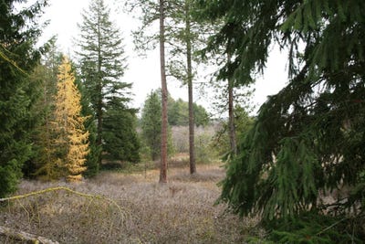 /international/us/00-dahl-lot-7-rd-deer-park-wa-110088326665/?lang=en