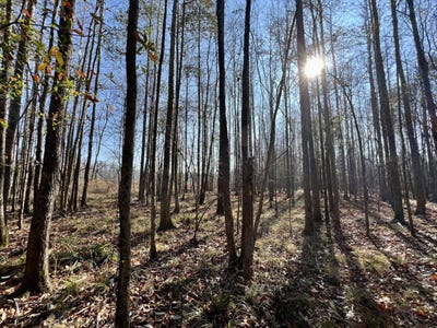 /international/us/0-county-road-219-summerfield-al-110090437459/