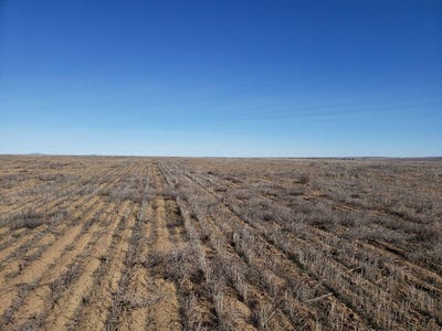 /international/us/nna-road-3-sw-154-acres-waterville-wa-110090905201/