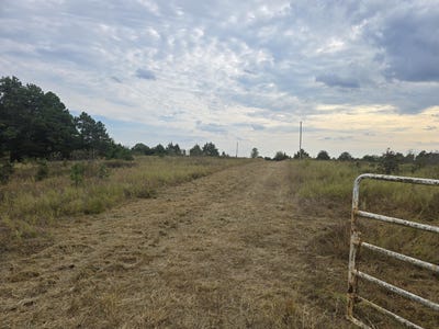 /international/us/golden-trail-drive-raymondville-mo-110120065671/
