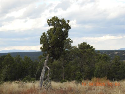 /international/us/129-tierra-de-dios-rowe-nm-110102734417/