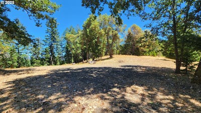 /international/us/675-panorama-ln-roseburg-or-110100843934/?lang=es