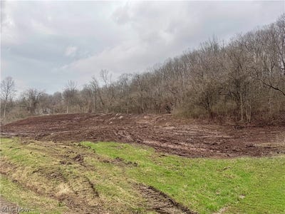 /international/us/3940-wedgewood-drive-mcconnelsville-oh-110106324723/