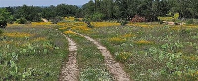 /international/us/starks-road-mason-tx-110104879453/
