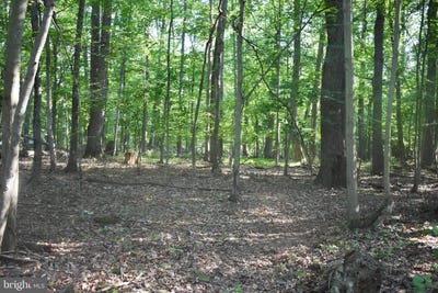 /international/us/0-cedar-grove-road-sparks-glencoe-md-110100423520/?lang=zh-tw