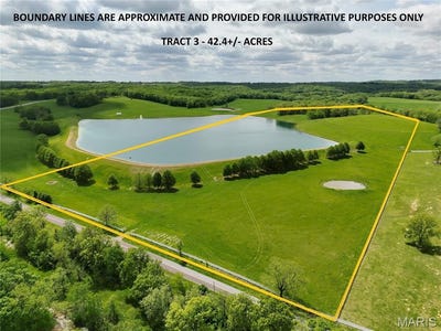 /international/us/0-highway-d-tract-3-42-4-acres-eolia-mo-110107856520/