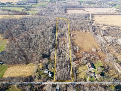 /international/us/s-forest-lenox-twp-mi-110075874543/