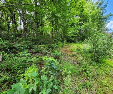 /international/us/tbd-hickory-hollow-ln-copper-hill-va-110101146342/?lang=en
