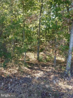 /international/us/33-51c-zachary-taylor-highway-unionville-va-110102708054/