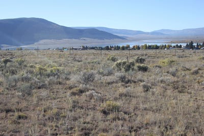 /international/us/lot-46-soarng-eagle-dr-eagle-nest-nm-110087773386/