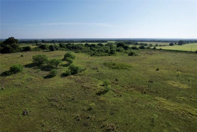 /international/us/16-acres-tbd-fm-571-gorman-tx-110108544684/