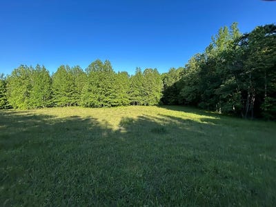 /international/us/elkhorn-rd-springville-tn-110107892216/