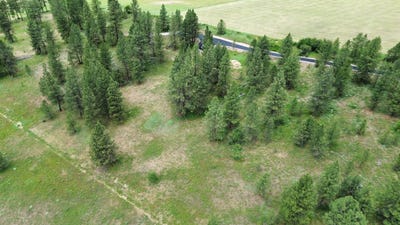 /international/us/3086-e-balsam-hill-ln-valleyford-wa-110108637573/