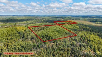 /international/us/5321-w-county-road-569-perronville-mi-110119991022/