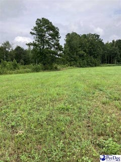 /international/us/140-pinkney-rd-kingstree-sc-110101606542/