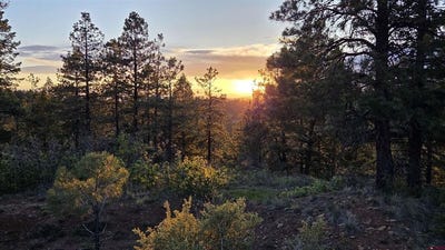 /international/us/157-carey-s-court-pagosa-springs-co-110108250414/