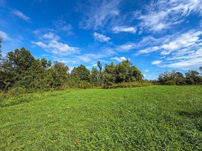 /international/us/boyd-ridge-rd-bellaire-oh-110110321931/