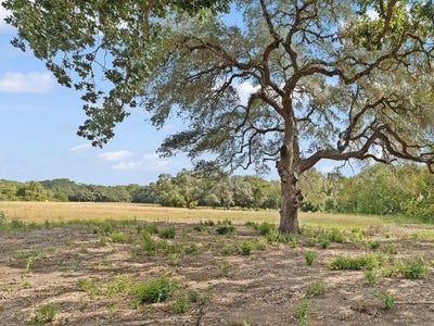 /international/us/2763-fm-956-lot-11-freyburg-area-schulenburg-tx-110119887802/