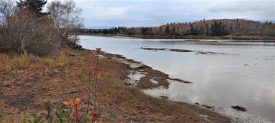 /international/us/1489-indian-river-road-jonesport-me-110099932998/