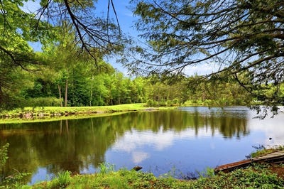 /international/us/54-papoose-lake-dr-heath-ma-110108423833/