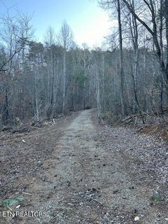 /international/us/popular-rd-tellico-plains-tn-110098015125/