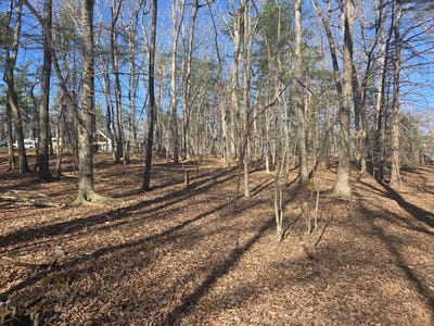 /international/us/hopkins-rd-rocky-mount-va-110106736706/