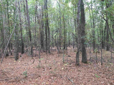 /international/us/40-acres-sulphur-springs-rd-pine-bluff-ar-110086707109/