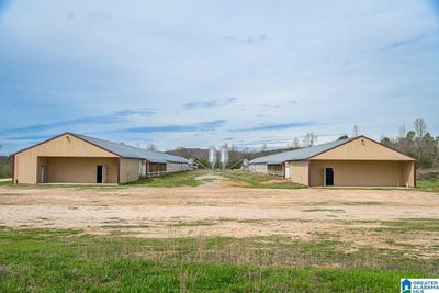 /international/us/970-new-liberty-road-wellington-al-110090989628/