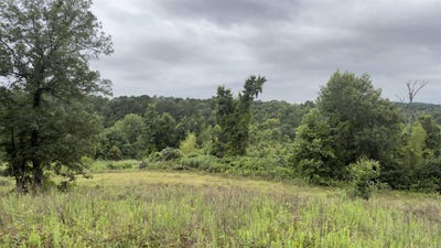 /international/us/80-acres-hwy-41-de-queen-ar-110109001150/?lang=de