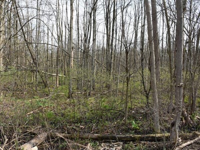 /international/us/3214-024-blooming-valley-road-meadville-pa-110099100985/