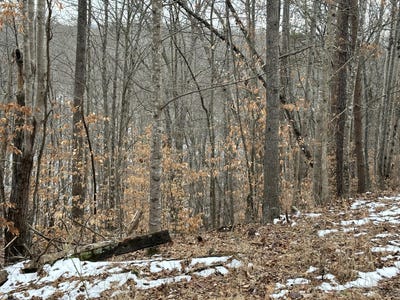 /international/us/lot-7-trapper-ln-vinton-va-110089620168/?lang=zh-cn