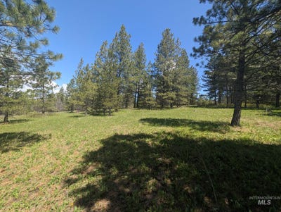 /international/us/jackpine-rd-cottonwood-id-110107461375/