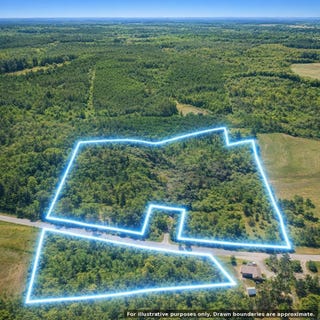 /international/us/40-8-acres-johnson-bridge-road-ariton-al-110108166615/