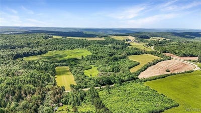 /international/us/county-road-2a-west-almond-ny-110100843896/?lang=zh-cn