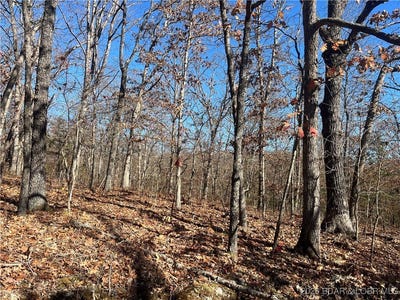 /international/us/lot-70-106-hiwatha-lane-rocky-mount-mo-110096877035/?lang=en
