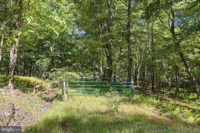 /international/us/old-poplar-drive-lot-46-baker-wv-110120016021/
